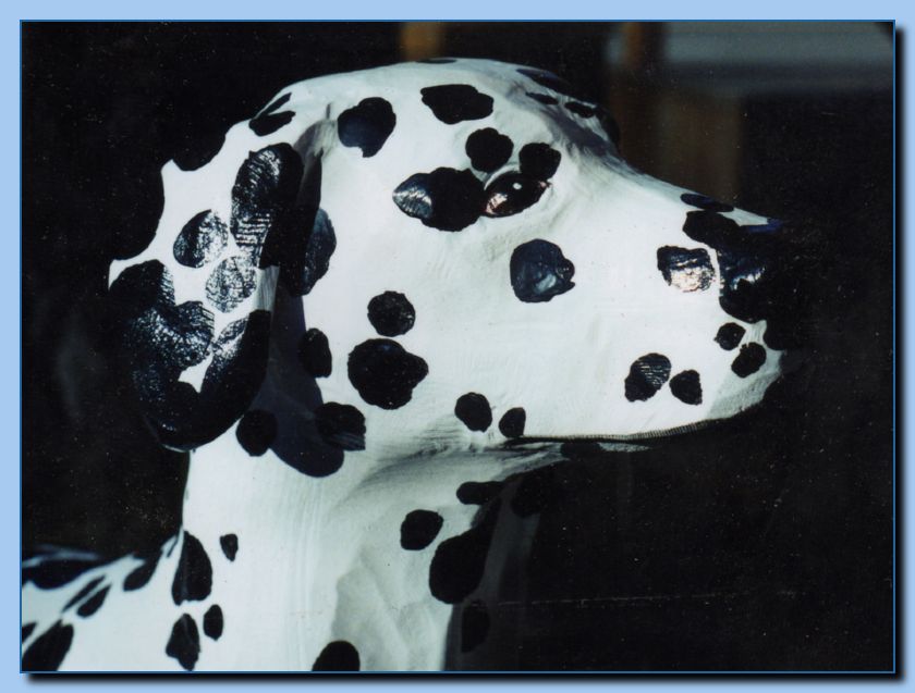 1-68 dog-dalmation-0001